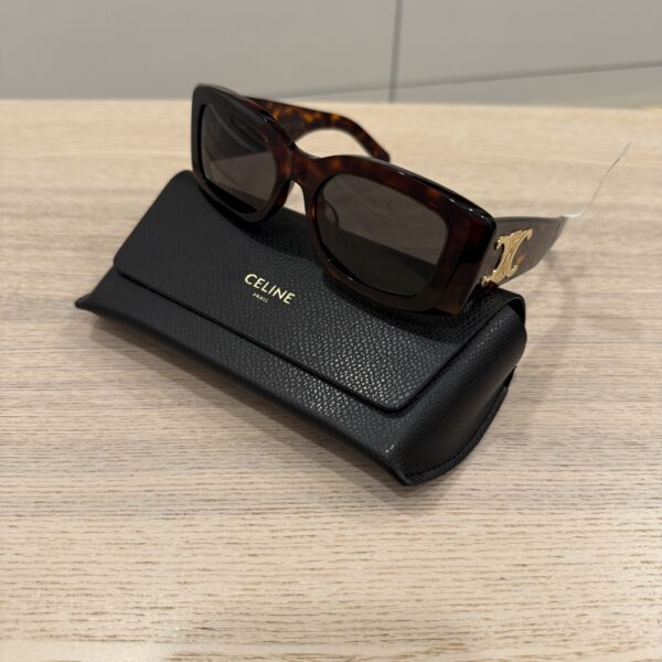 Celine Triomphe 53MM Rectangular Sunglasses Brown