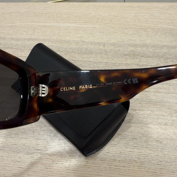 Celine Triomphe 53MM Rectangular Sunglasses Brown