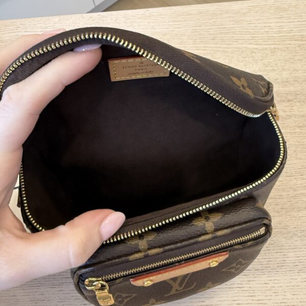 Louis Vuitton Monogram Mini Bumbag