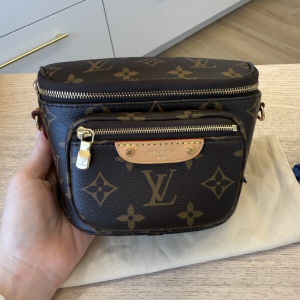 Louis Vuitton Monogram Mini Bumbag