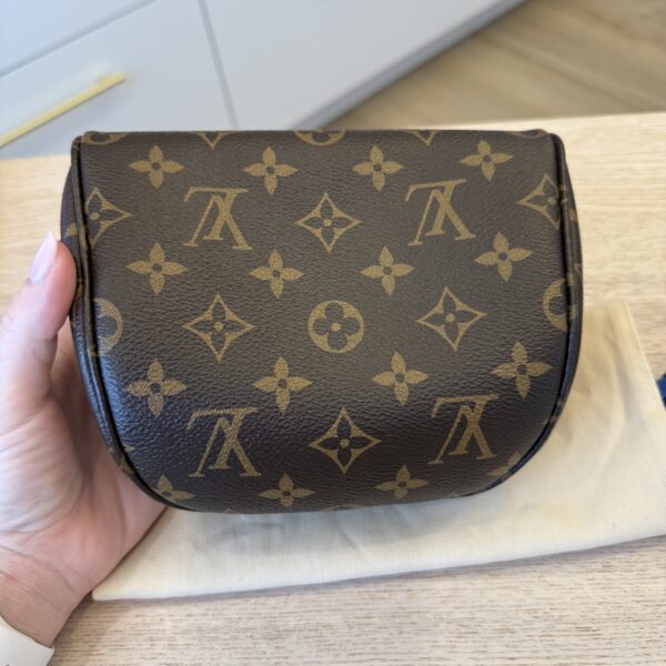 Louis Vuitton Monogram Mini Bumbag