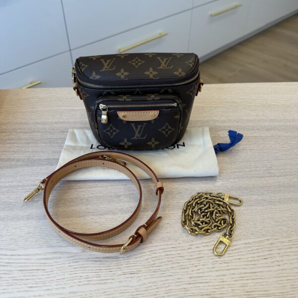 Louis Vuitton Monogram Mini Bumbag