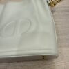 Christian Dior Calfskin CD Embossed Medium C'est Dior Bag