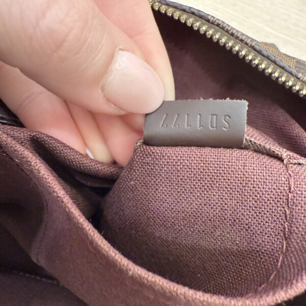 Louis Vuitton Damier Ebene Iena MM