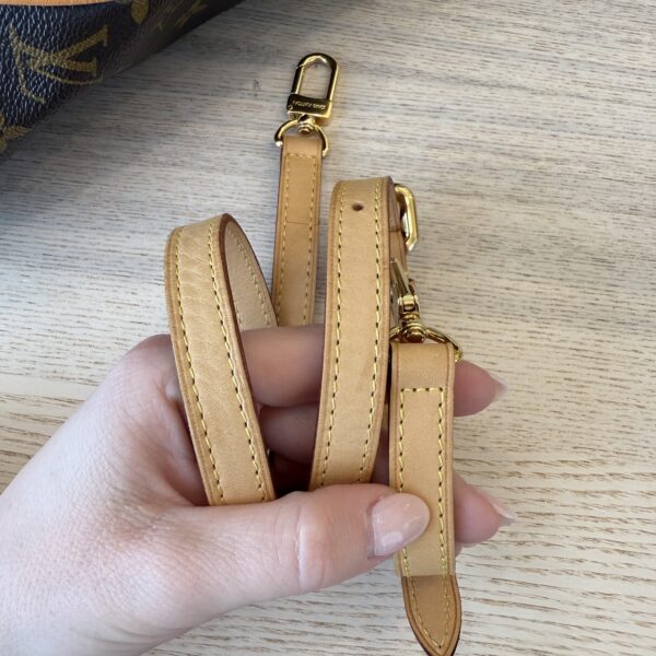 Louis Vuitton Monogram Palermo GM