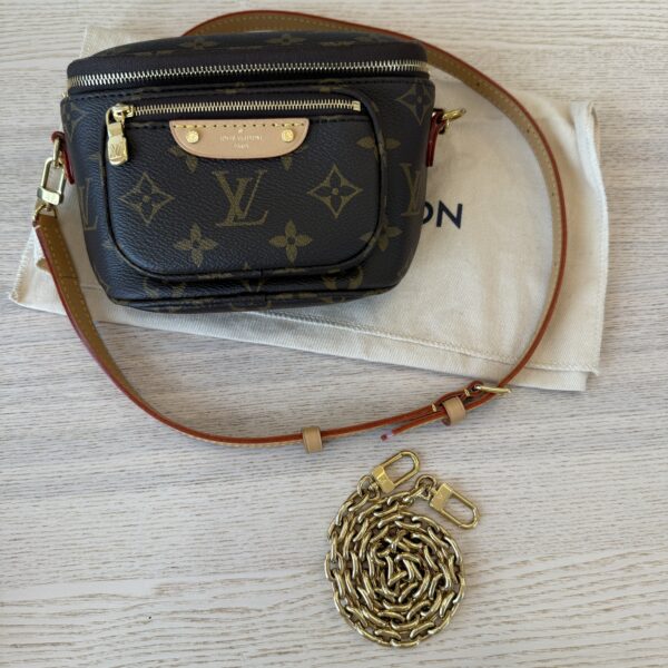 Louis Vuitton Monogram Mini Bumbag
