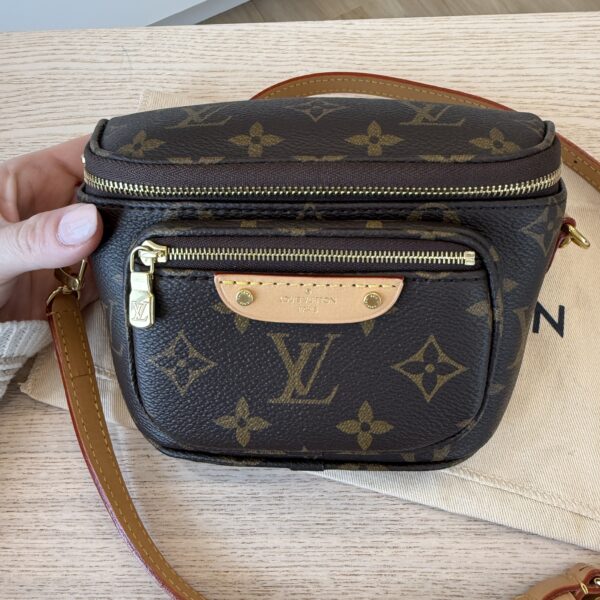 Louis Vuitton Monogram Mini Bumbag