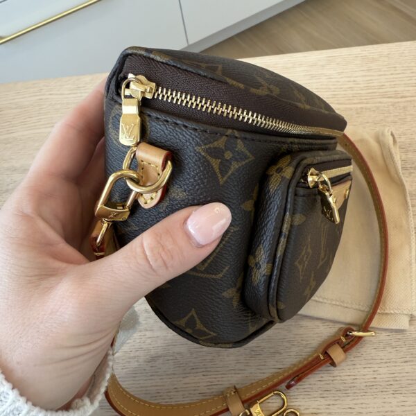 Louis Vuitton Monogram Mini Bumbag