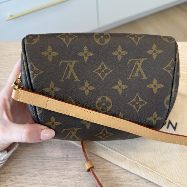 Louis Vuitton Monogram Mini Bumbag