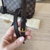 Louis Vuitton Damier Ebene Alma BB