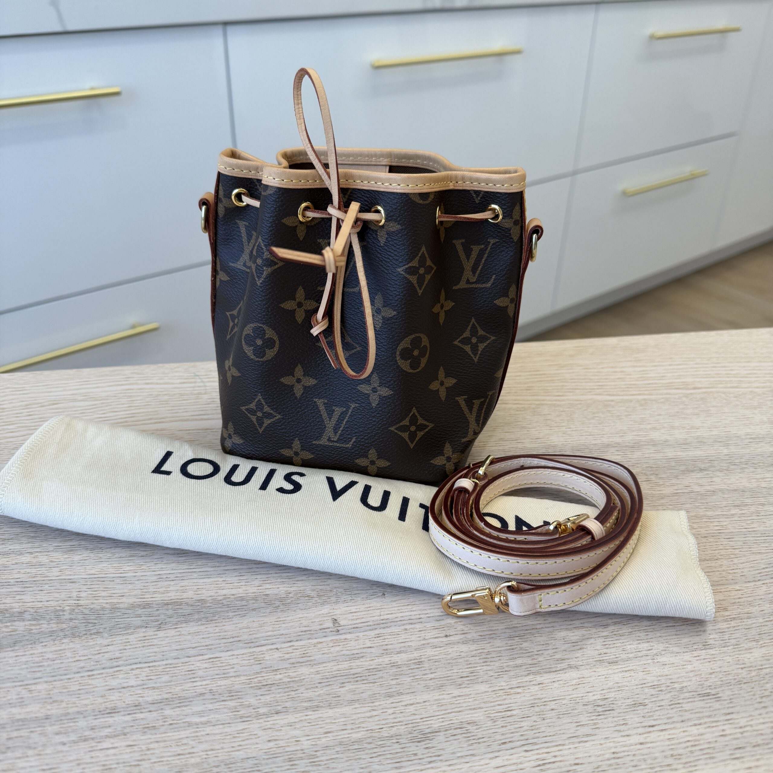 Louis Vuitton Monogram Nano Noe