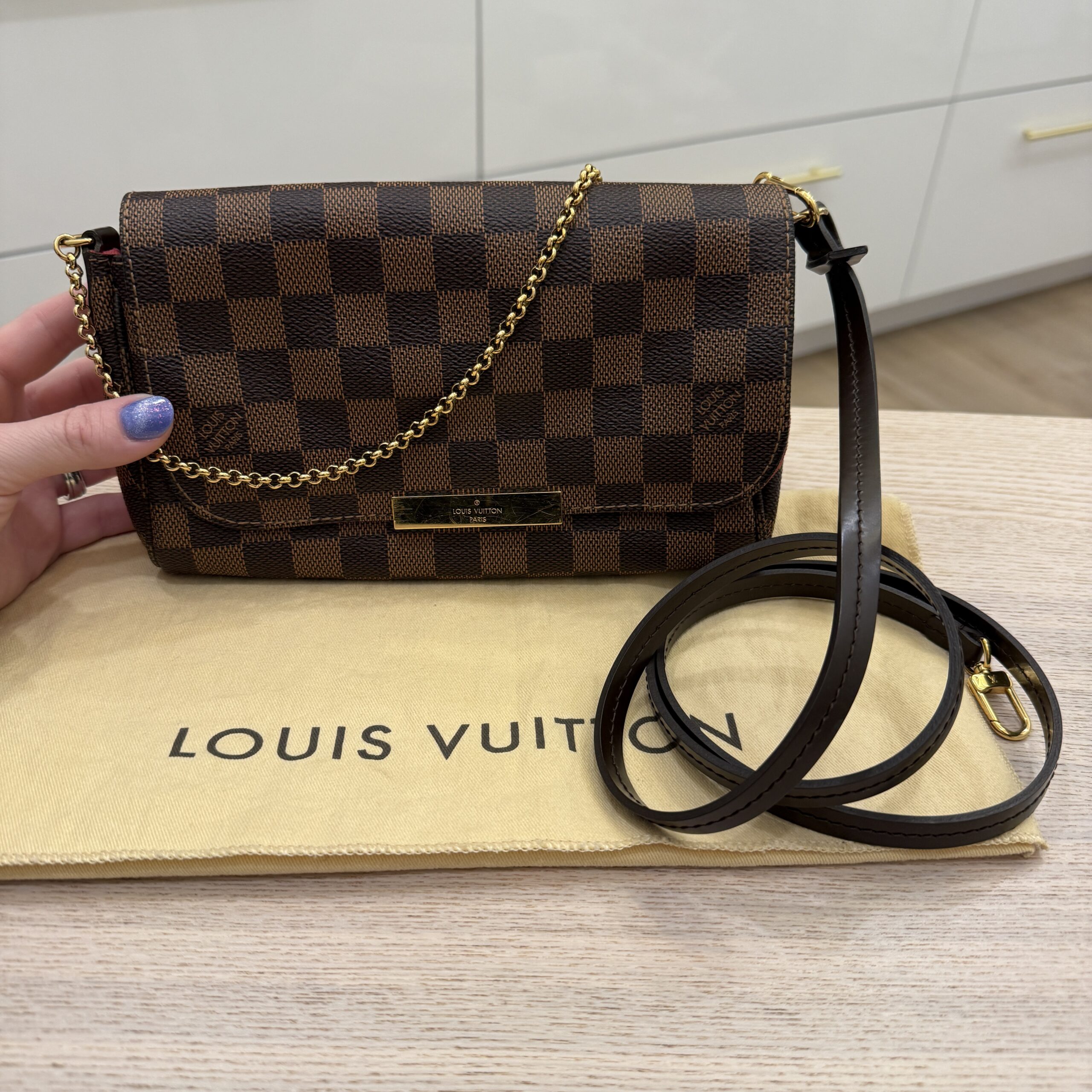 Louis Vuitton Damier Ebene Favorite PM