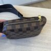 Louis Vuitton Damier Ebene Geronimos