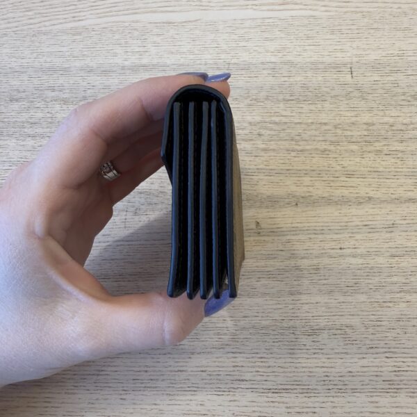 Louis Vuitton Monogram Reverse Accordion Card Holder