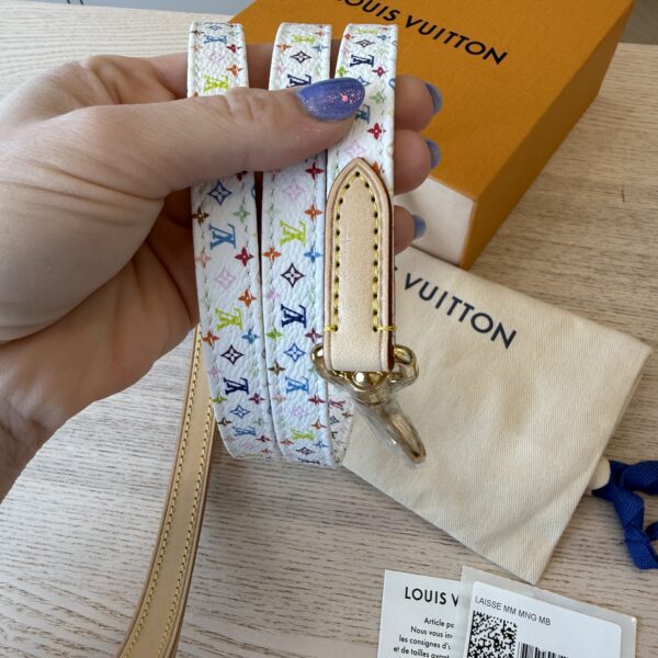 Louis Vuitton Dog Leash MM Multicolor LV X TM