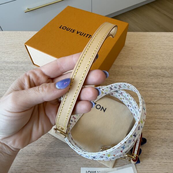 Louis Vuitton Dog Leash MM Multicolor LV X TM