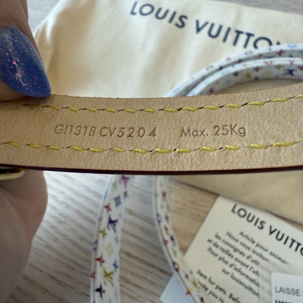 Louis Vuitton Dog Leash MM Multicolor LV X TM