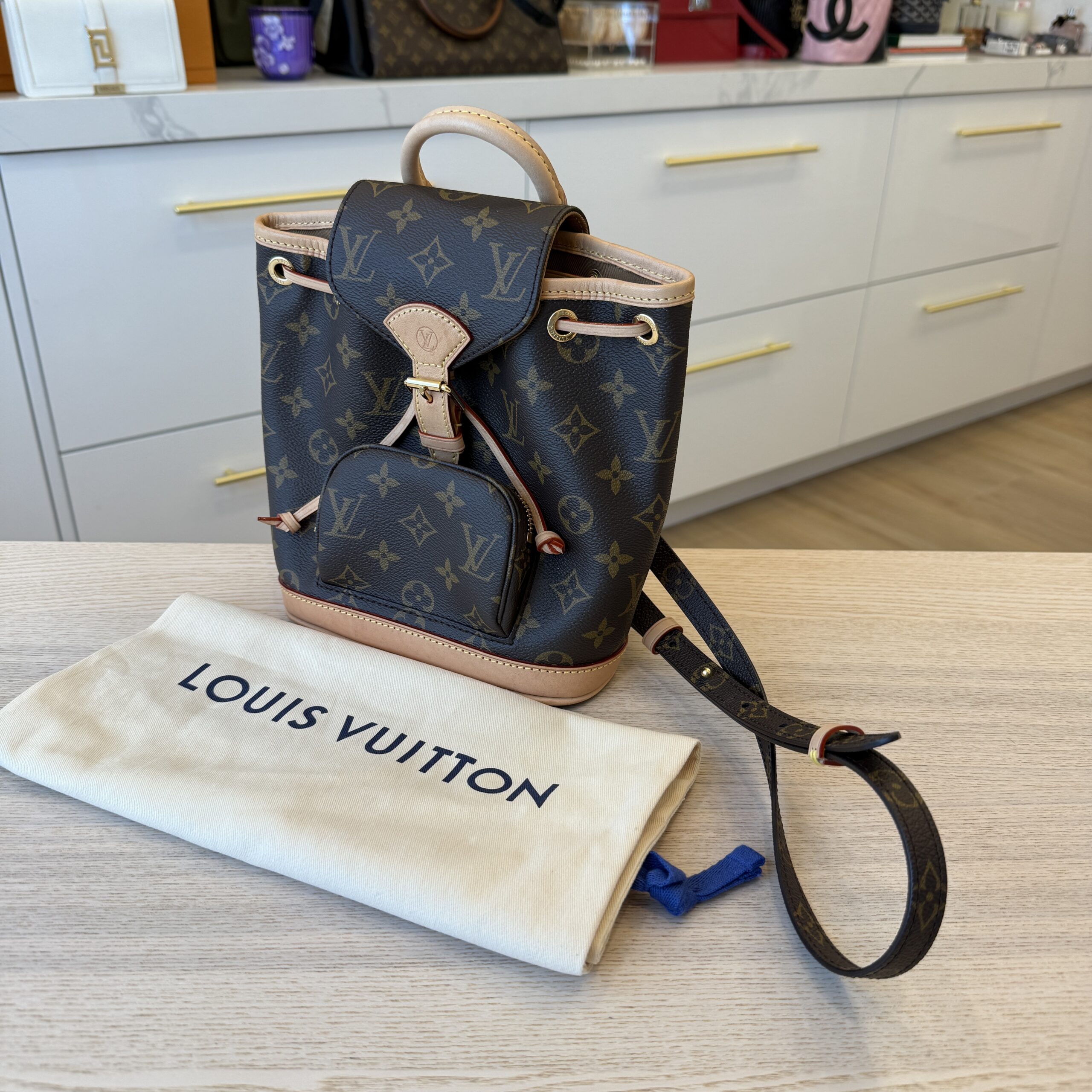 Louis Vuitton Monogram Montsouris Mini
