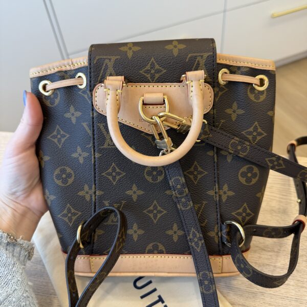 Louis Vuitton Monogram Montsouris Mini