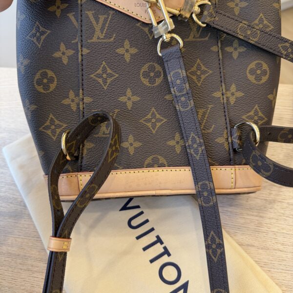Louis Vuitton Monogram Montsouris Mini