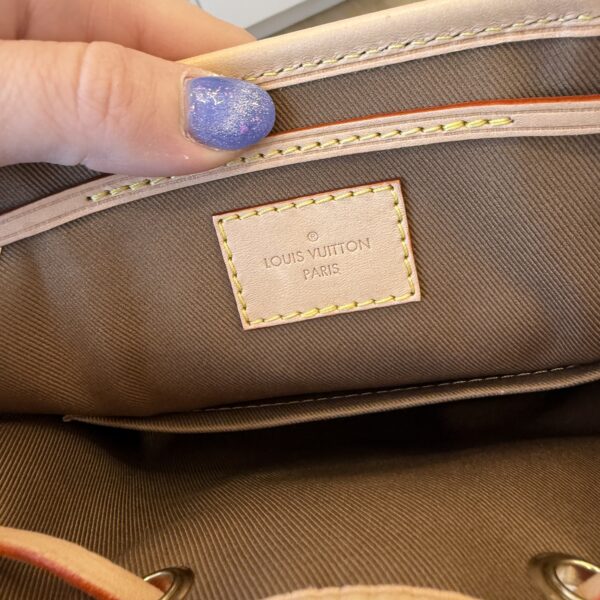 Louis Vuitton Monogram Montsouris Mini