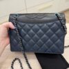 Chanel Quilted Ballerine Flap Bag Black and Navy