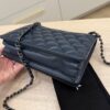 Chanel Quilted Ballerine Flap Bag Black and Navy