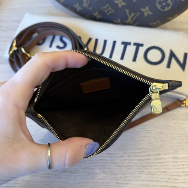 Louis Vuitton Reverse Monogram Loop Hobo