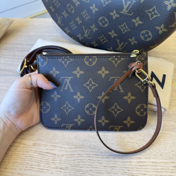 Louis Vuitton Reverse Monogram Loop Hobo