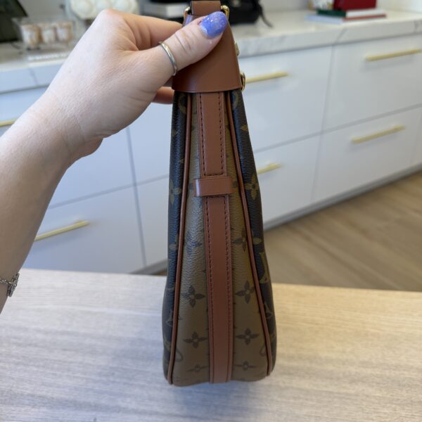 Louis Vuitton Reverse Monogram Loop Hobo