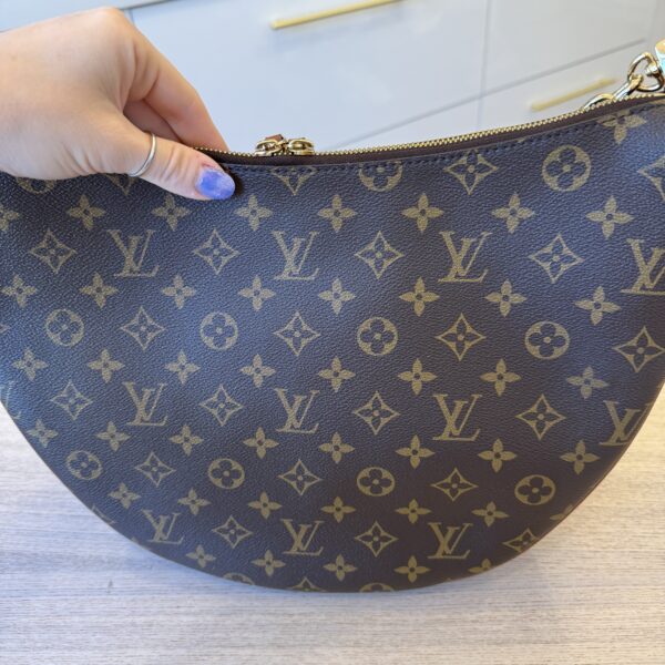 Louis Vuitton Reverse Monogram Loop Hobo