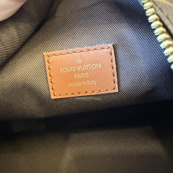 Louis Vuitton Reverse Monogram Loop Hobo