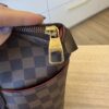 Louis Vuitton Damier Ebene Totally MM