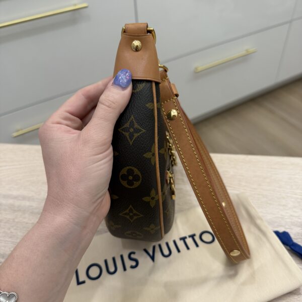 Louis Vuitton Monogram Loop
