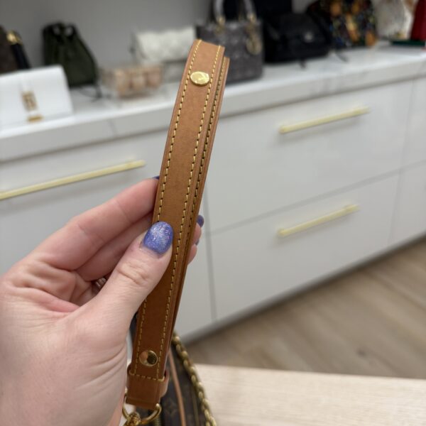 Louis Vuitton Monogram Loop