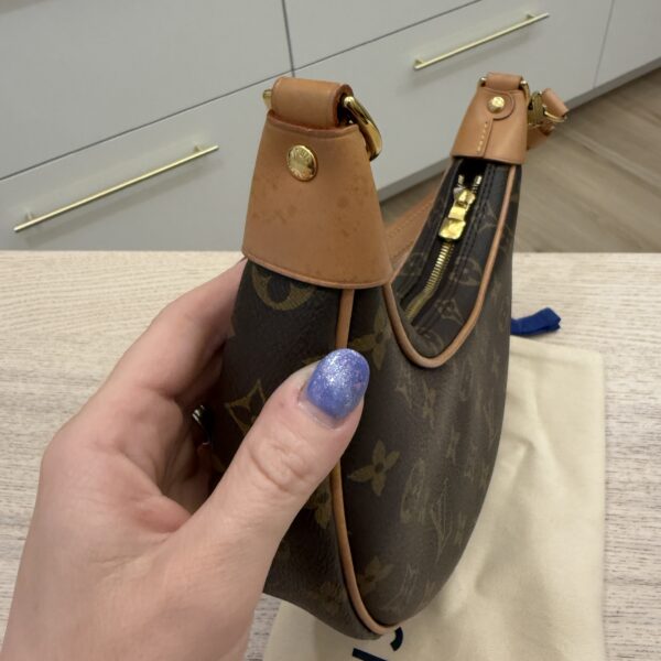 Louis Vuitton Monogram Loop