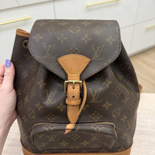Louis Vuitton Monogram Montsouris MM