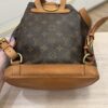 Louis Vuitton Monogram Montsouris MM