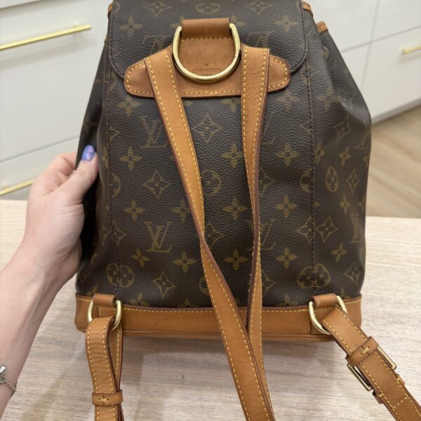 Louis Vuitton Monogram Montsouris MM