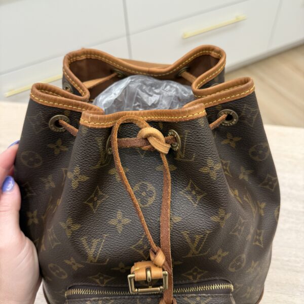 Louis Vuitton Monogram Montsouris MM