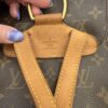 Louis Vuitton Monogram Montsouris MM