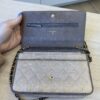 Chanel Tweed Quilted Wallet On Chain WOC