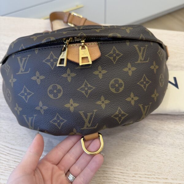Louis Vuitton Monogram Bumbag