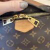 Louis Vuitton Monogram Bumbag