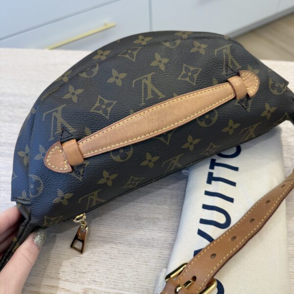 Louis Vuitton Monogram Bumbag
