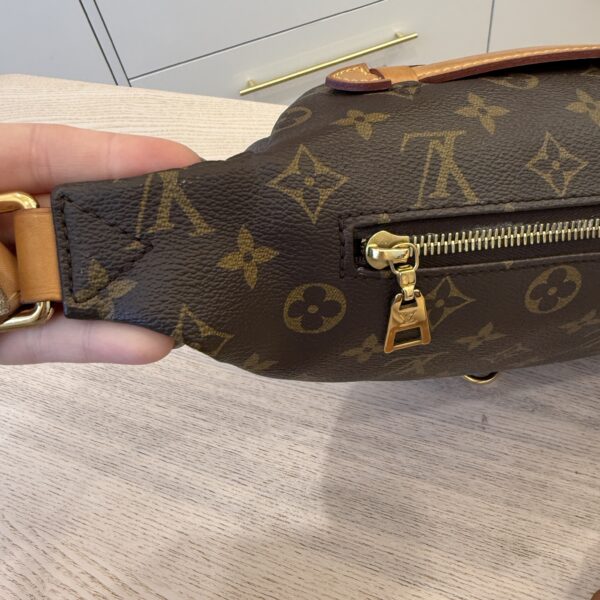 Louis Vuitton Monogram Bumbag