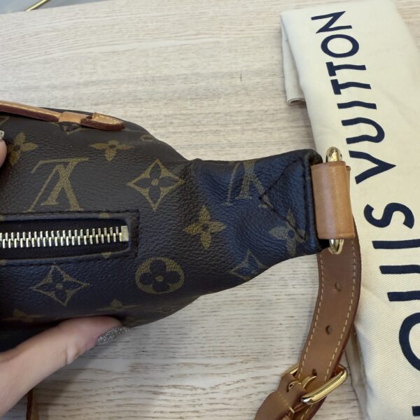 Louis Vuitton Monogram Bumbag