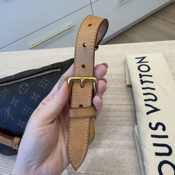 Louis Vuitton Monogram Bumbag