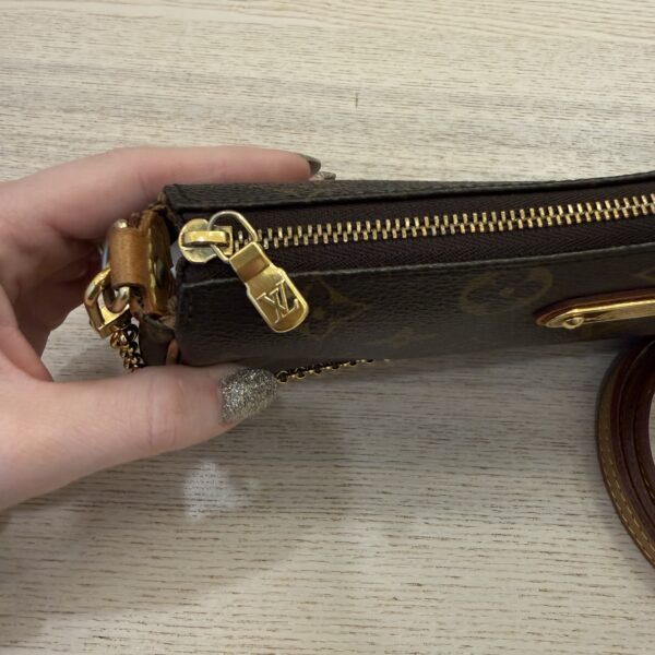 Louis Vuitton Monogram Eva