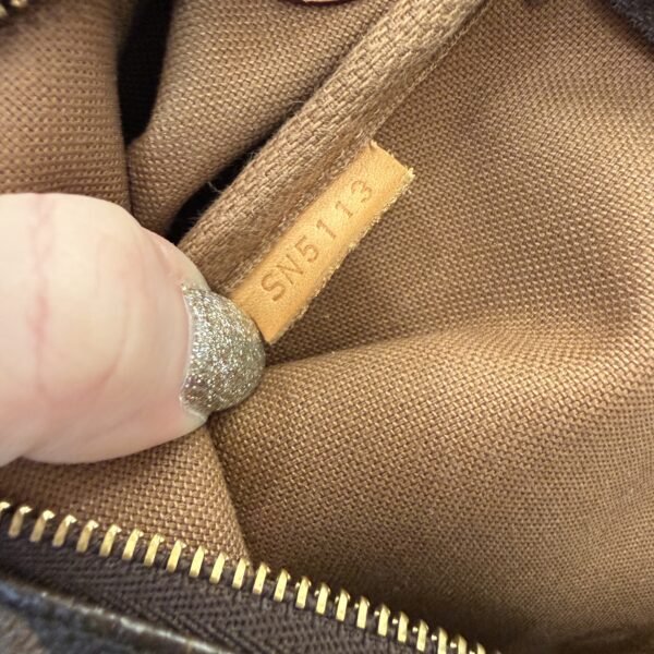 Louis Vuitton Monogram Eva